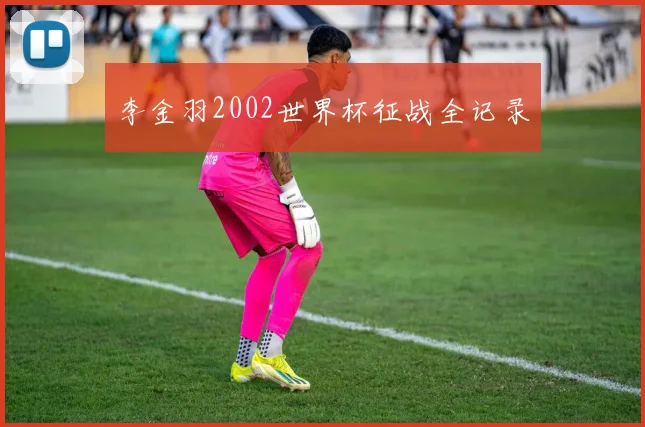 李金羽2002世界杯征战全记录