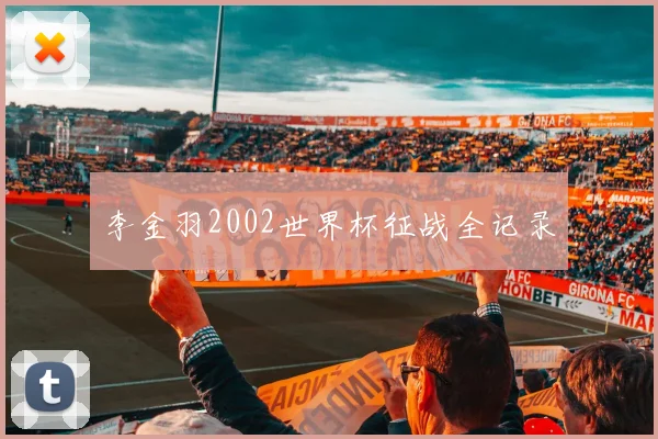 李金羽2002世界杯征战全记录