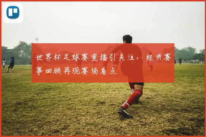 世界杯足球赛重播引关注，经典赛事回顾再现赛场看点