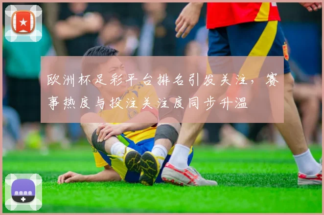 欧洲杯足彩平台排名引发关注,赛事热度与投注关注度同步升温