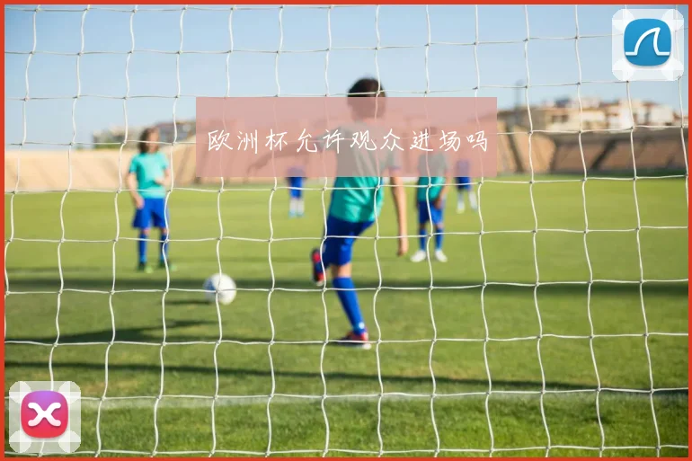 欧洲杯允许观众进场吗
