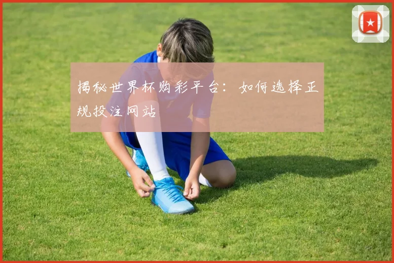揭秘世界杯购彩平台:如何选择正规投注网站