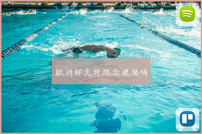 欧洲杯允许观众进场吗