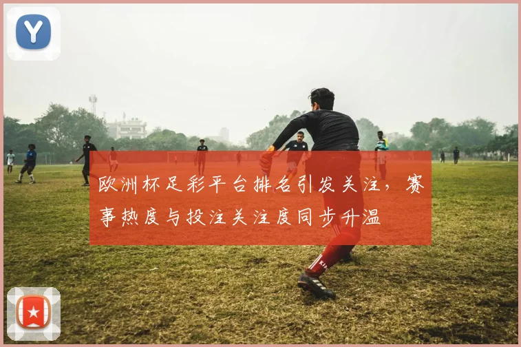欧洲杯足彩平台排名引发关注，赛事热度与投注关注度同步升温